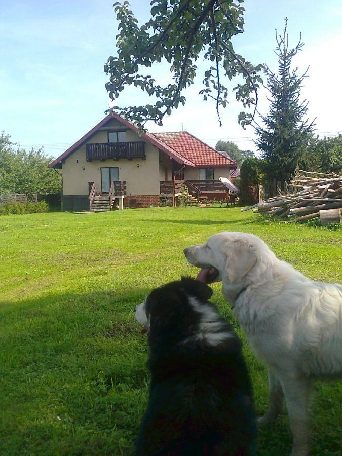 Agroturystyka Sielana Kostrzyca Buitenkant foto