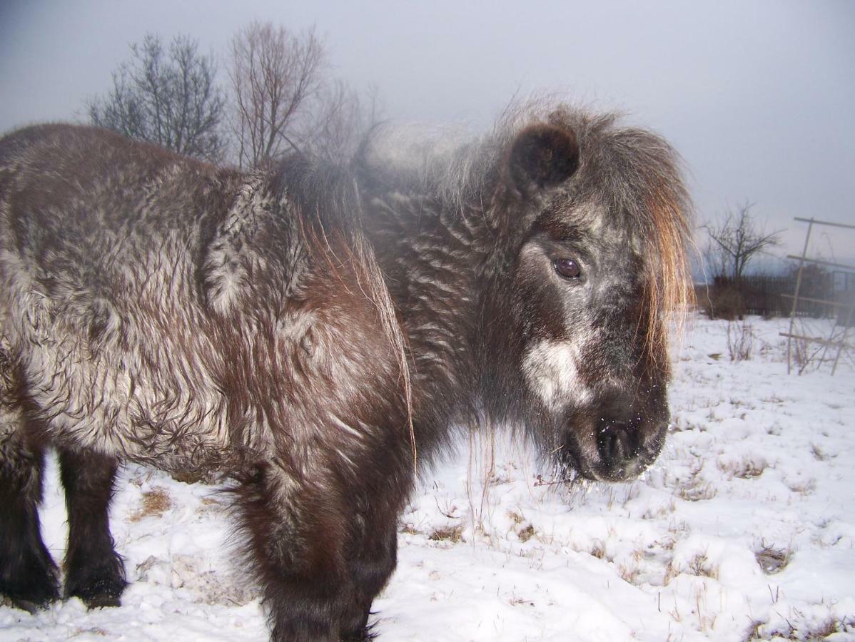 Agroturystyka Sielana Kostrzyca Buitenkant foto